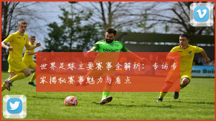 世界足球主要赛事全解析：专访专家揭秘赛事魅力与看点
