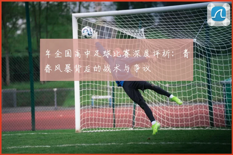 年全国高中足球比赛深度评析：青春风暴背后的战术与争议